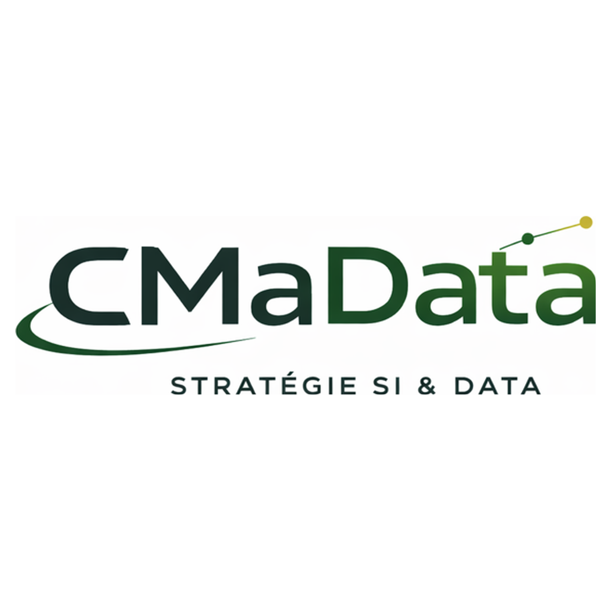 CMaData